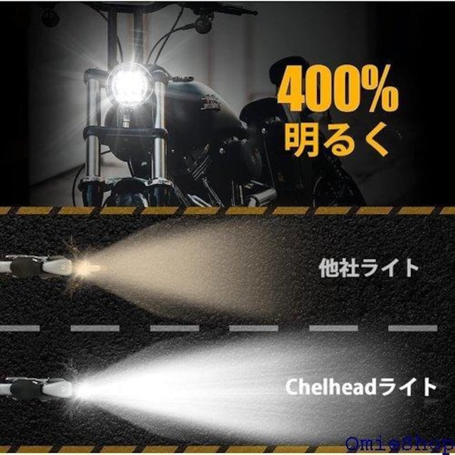 Chelhead Vo[ LEDwbhCg n[ FXDWG X|[cX^[1200 Low XLc c 660  /oCN