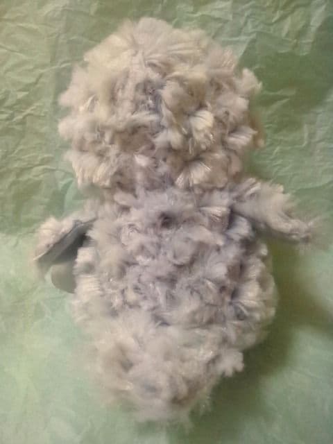 Ty BEANIE BOOSӂ낤Owletteʂ݁   