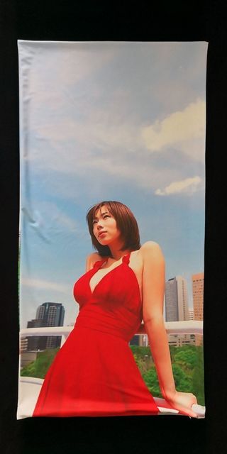 井上和香　抱き枕カバー 井上和香 抱き枕カバー