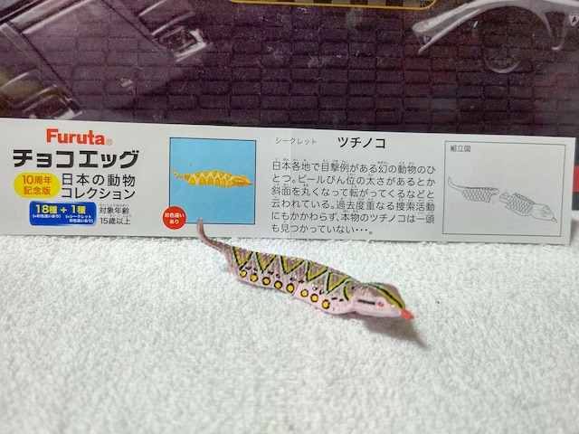 t^ {̓ 10th c`mR V[Nbg sN   zr[ 