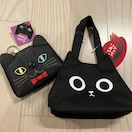 JfB ˂RCP[X ˂obO 2025 obÔ Vi