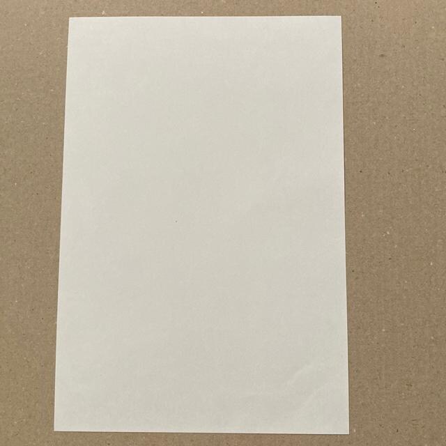 500~@V[؎@؎@s[^[rbg@
