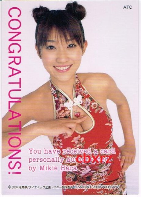 bHaneyATCJ[gTMTCJ[h`Ci瓰2008  ^gObY 