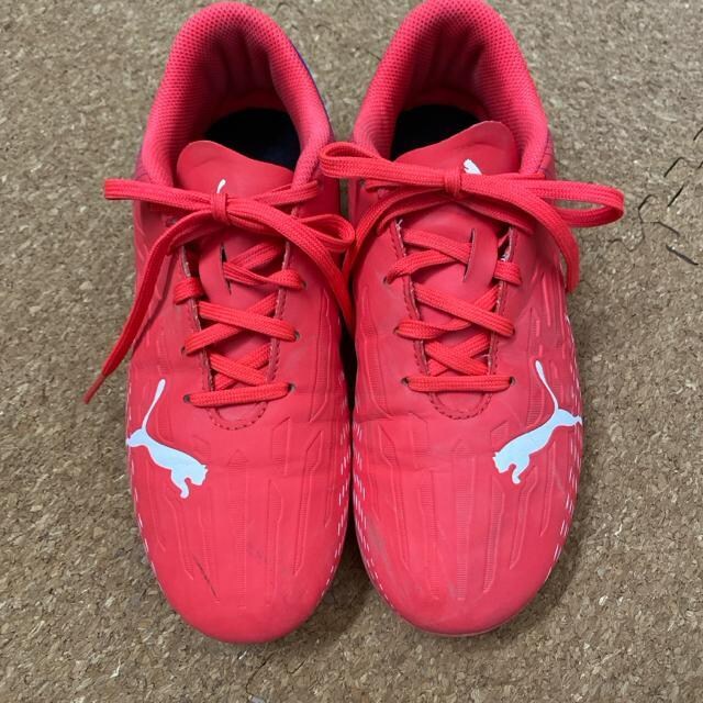 21.5cm TbJ[XpCN@v[}PUMA Eg