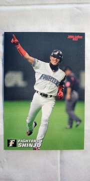2006v싅`bvXPe{nSHINJO(Vu)M[J[h