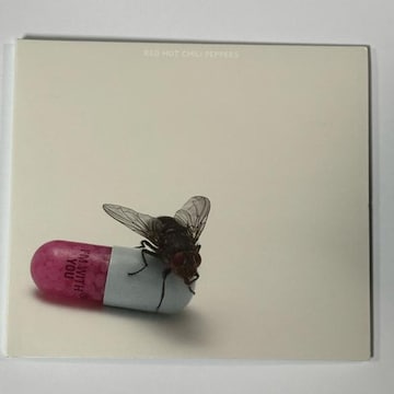RED HOT CHILI PEPPERS / IfM WITH YOU