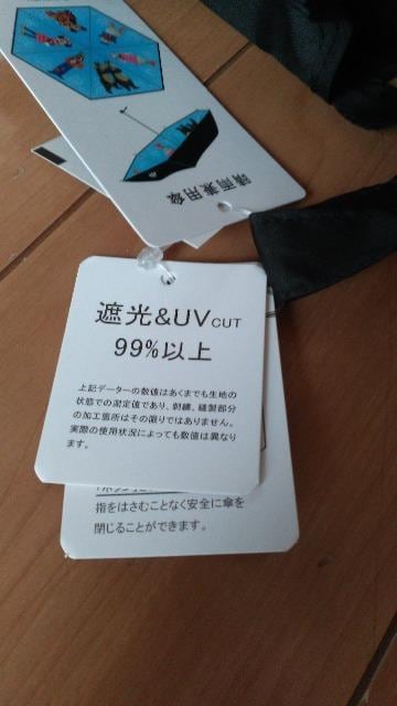 ][gLN^[ʐJpP  CeA/Ct 