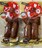 kCH XY Yq ߂ 2 2܃Zbg }Hi