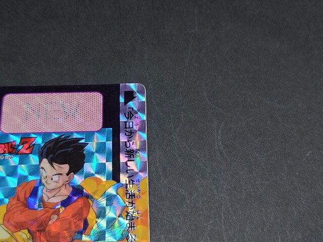 hS{[ J[h_X {e 15e No.617  / J[h_X vYJ[h L hS{[Z DBZ  Aj/R~bN/LN^[ 