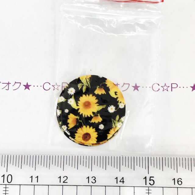 30*݌ɂȂ@R[WV[@@5@27 