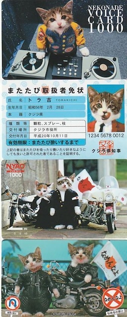 ȂߔLpfB[J[h 4yB-21z   zr[ 