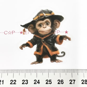 14*װޭف۳݁cȐ@6