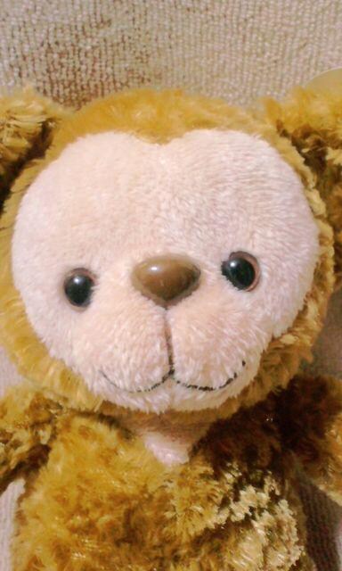 keddyTeddy܂ʂ݃s[ibcNu