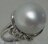 Pt900v`iOp[14`14.5mm^D0.05ct#11.5