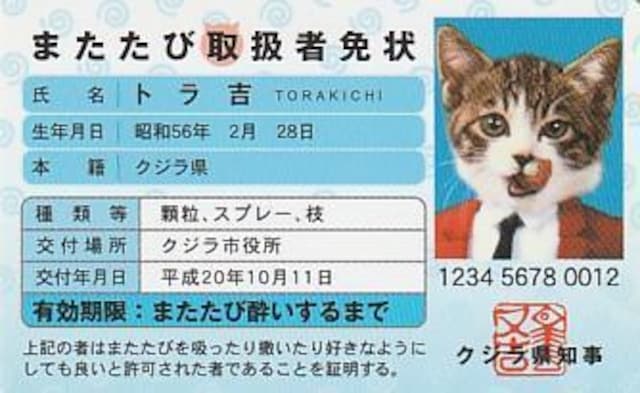 ȂߔLpfB[J[h 4yB-23z  zr[ 