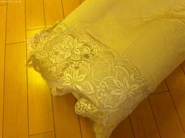 {ԕ[Xs[X傫LLTCY