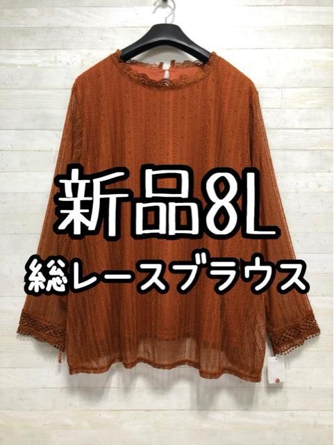 Vi8LuEn[X̃uEX􂫂ꂢ߃R[fQ251   t@bV 