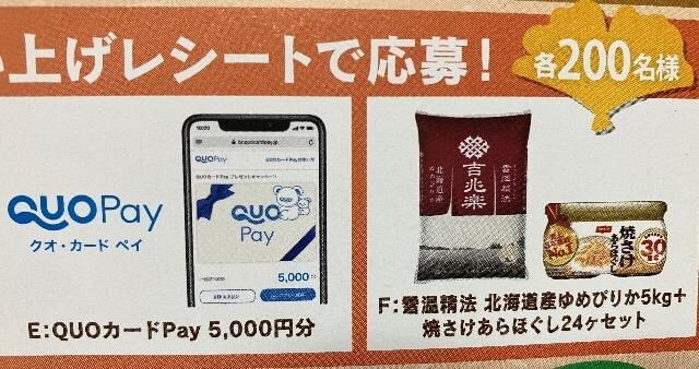 QUOJ[hpay5000~/߂҂肩+Ă24PZbgȂ/800l3 