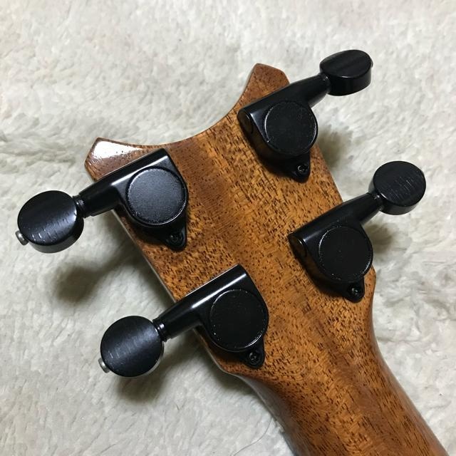 ROMERO CREATION TT Tiny Tenor Premium Koa ei[EN P[Xt  zr[ 