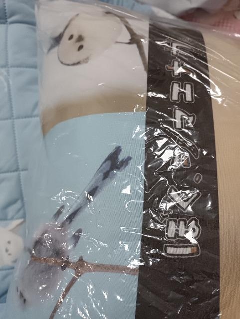 ڂAV}GiK̖Agpi  CeA/Ct 