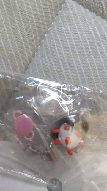 AKB48Zbg  ^gObY 