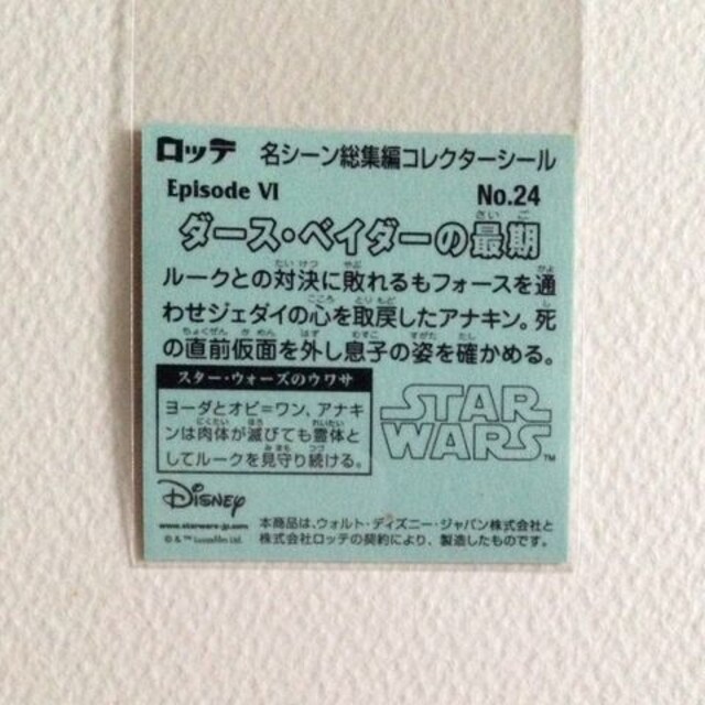 rbN} X^[EH[Y XyVGfBV No.24  zr[ 