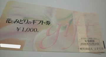ԂƂ݂ǂ̃Mtg1000~8Zbg