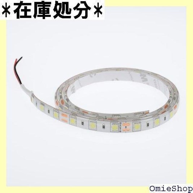 Takenous gbNYpB | led 0SMD  P oCN I[goC IJ[ sN 295  /oCN
