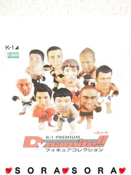 yK-1 Dynamitez̨ޭڸ9+ 12