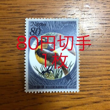 8811LO؎80~(80~؎)