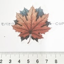 10*R[WV[7