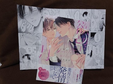 BL[tbgty~]̌z˂˂