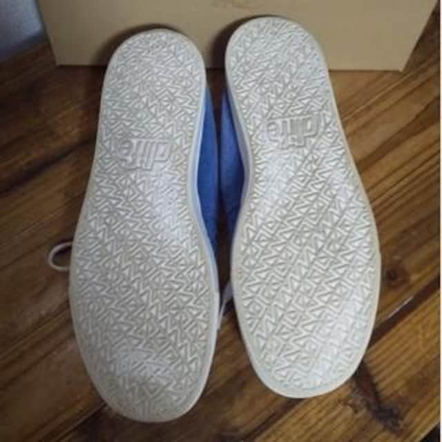 Ò@alife G[Ct MOC lCr[@XG[h@28.5  jt@bV 