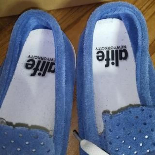 Ò@alife G[Ct MOC lCr[@XG[h@28.5  jt@bV 