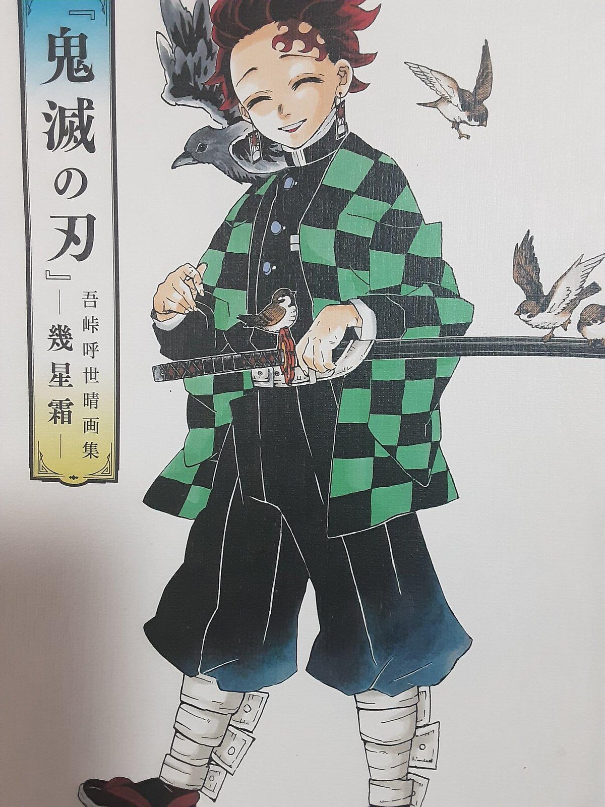 鬼滅の刃イラスト集「鬼滅の刃吾峠呼世晴画集」送料無料:その他