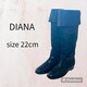 Ou[c@fB[X@22cm DIANA _CAi [q[
