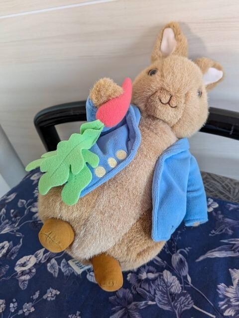 Augusta du Bay/I[KX^fxC/PETER RABBIT/s[^[rbg/100NLOʂ/2004N   