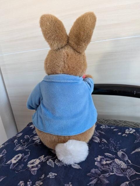 Augusta du Bay/I[KX^fxC/PETER RABBIT/s[^[rbg/100NLOʂ/2004N   