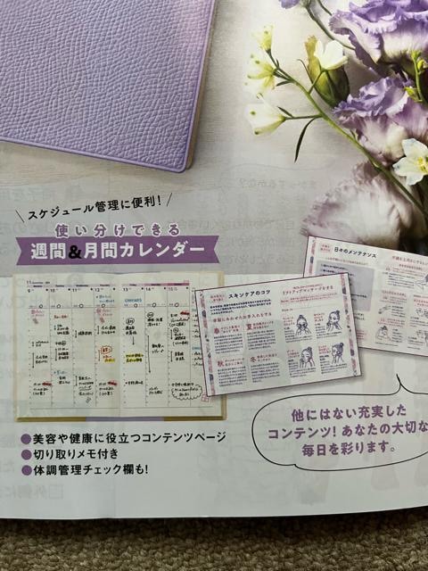 DHC 2026 r[eB[蒠IViIJI񔄕iI  CeA/Ct 