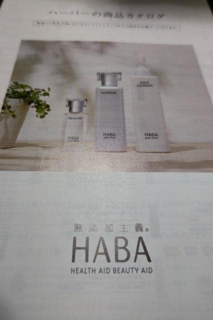 y񔄕izn[o[ DҌ 10000~ HABA  `Pbg/ 