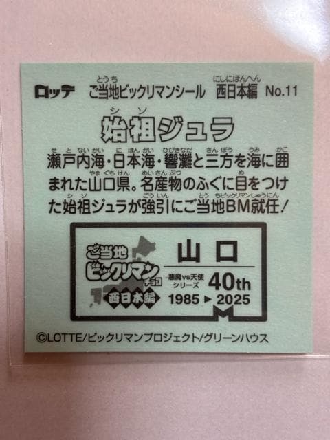 nrbN}{ҁNo.11 ncWR  zr[ 