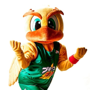 y#30 _J[zT[O[vR{jtH[gSALA GREEN 2024-25hipEMTCj