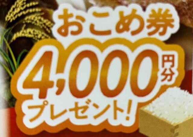ߌ4000~/100l3 