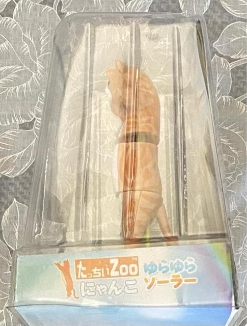 Zoo ɂ \[[ AJV[gwA