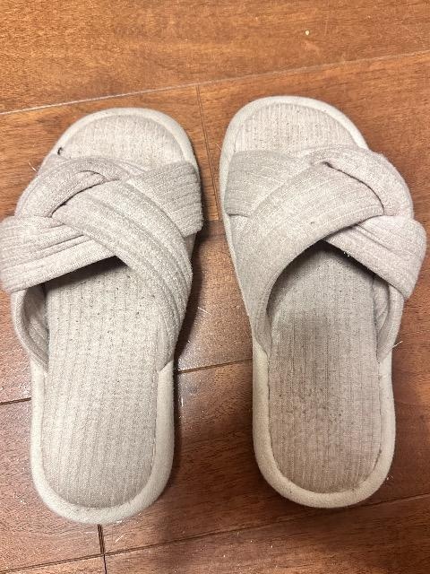 Á@[V[Y@tď_炩jbgfށ@҂ݍ   CeA/Ct 