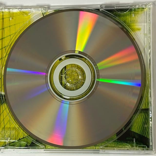 THE MERRYMAKERS / BUBBLEGUN  CD/DVD/rfI 