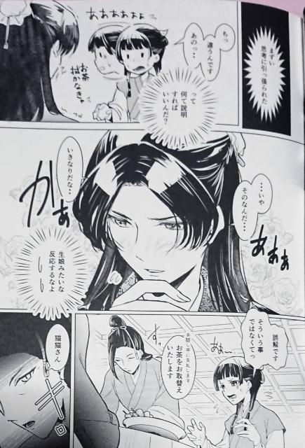 薬屋のひとりごと　今宵ふたりで 薬屋のひとりごと同人誌「今宵ふたりで」《壬氏×猫猫》 | アニメ