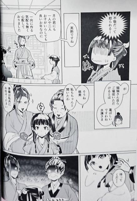 薬屋のひとりごと　今宵ふたりで 薬屋のひとりごと同人誌「今宵ふたりで」《壬氏×猫猫》:コミック