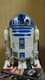 ިư@R2-D2@߯ߺ݁@޹
