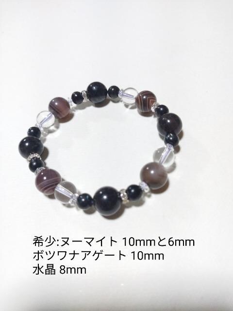 Vt[14_Zbg܇A]󏭂ȓVR΂Ă/VR΃uXB`[(*^^*)
